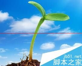 wps/word怎么制作精美的个人简历封面?_www.365-588.com
