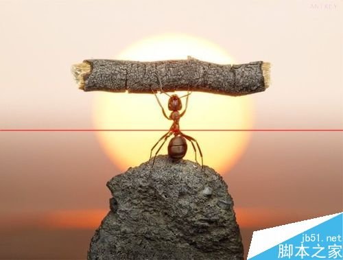 wps/word怎么制作精美的个人简历封面?_www.365-588.com