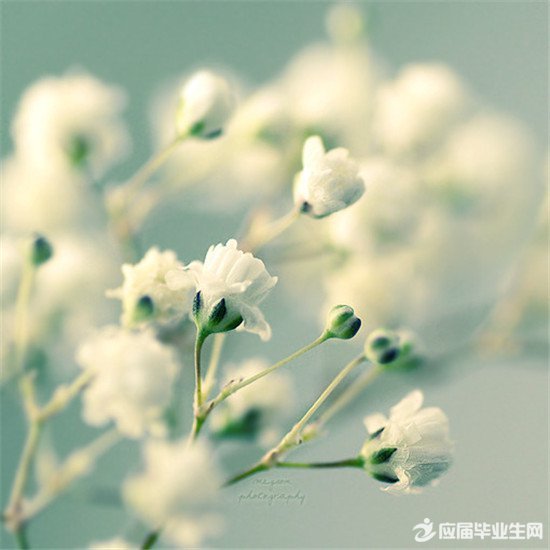 美到心碎的散文欣赏 美到心碎的散文欣赏_www.365-588.com