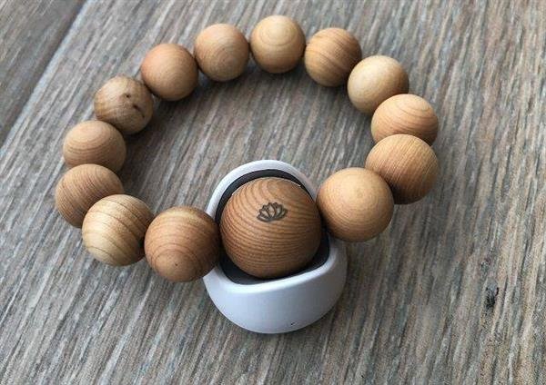 手持智能佛珠 你就真的会功德加倍 一念成佛吗? 手持智能佛珠 你就真的会功德加倍 一念成佛吗?_www.365-588.com