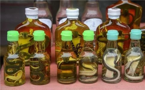 鸿茅药酒不能喝,你以为别的药酒就没事了? 鸿茅药酒不能喝,你以为别的药酒就没事了?_www.365-588.com